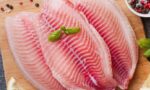 Brazilian fish exports