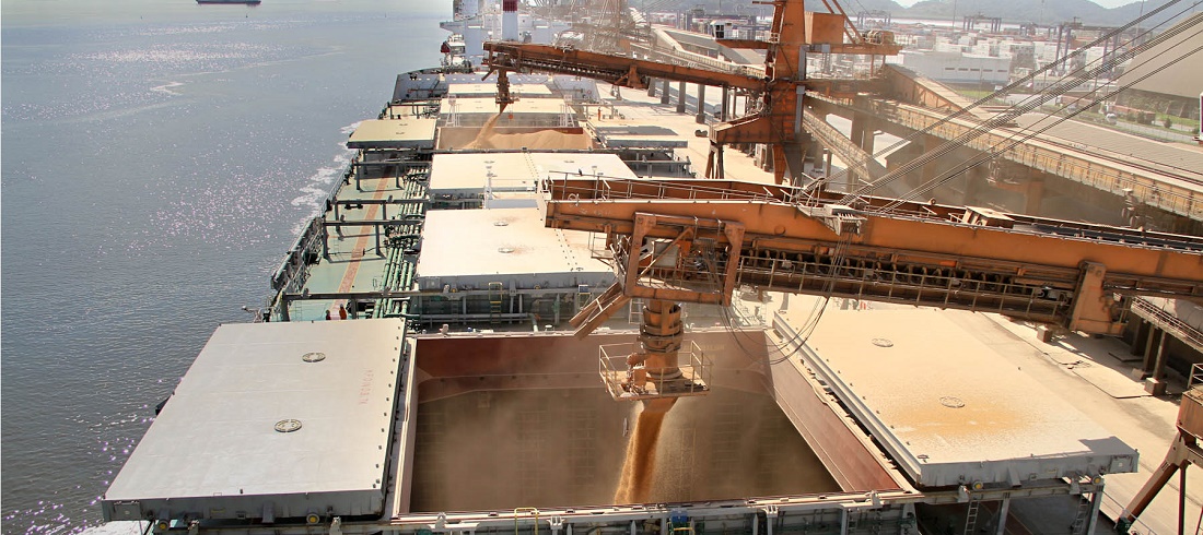 soybean exports Argentina Brazil