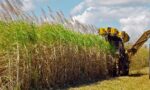WTO sugar dispute