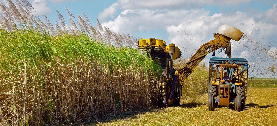 WTO sugar dispute